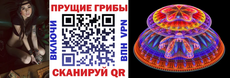 Галлюциногенные грибы GOLDEN TEACHER  Курск 